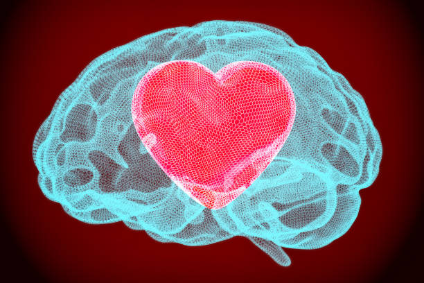 сердце внутри мозга, умная концепция любви. 3d рендеринг - romance three dimensional digitally generated image ideas стоковые фото и изображения