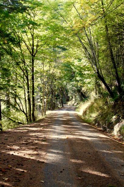 istock Country Road On A Fall Day 862446254