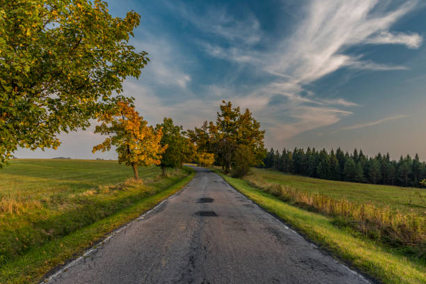 istock Evening with road in Slavkovsky les national park 862446534