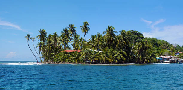 istock Tropical island with leaning coconut tree 862449580
