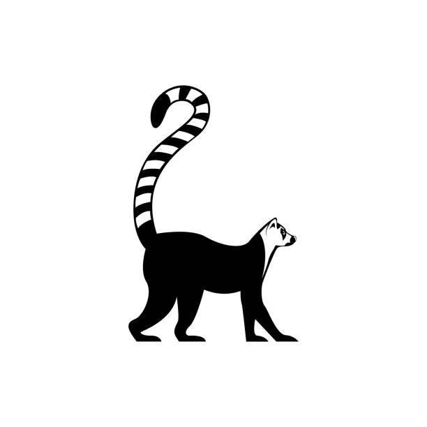 wektor lemur sylwetka widok strony dla ikony retro, emblematy, odznaki, etykiety szablon vintage element projektu. odizolowane na białym tle - lemur stock illustrations