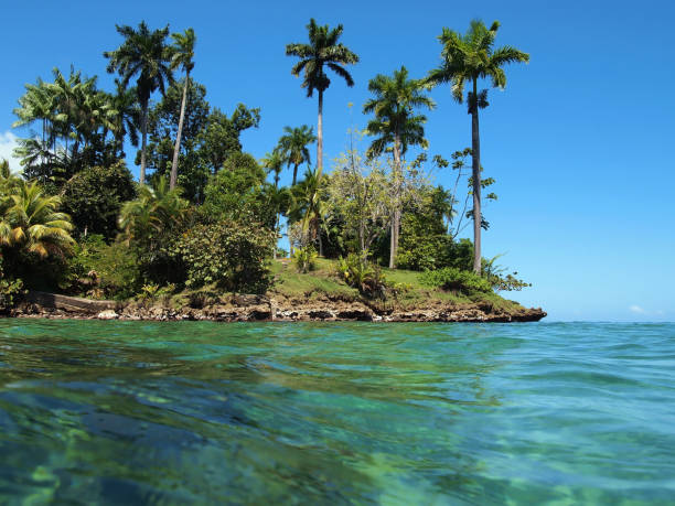 istock Tropical vegetation with turquoise water 862454068