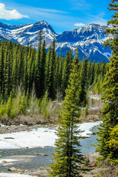 istock Bighorn river to the Crescent Falls 862457212
