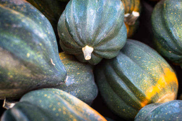 primer plano de verde calabaza de hubbard para la venta - agricultural fair farmers market squash market fotografías e imágenes de stock