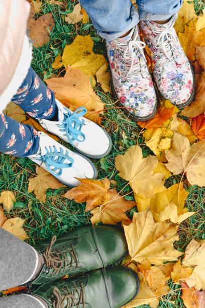 istock autumn outdoor 862460758