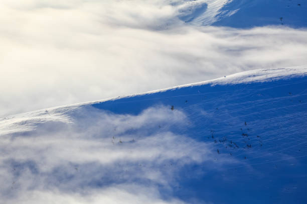 istock Marvelous winter sun high in the mountains in beautiful forests and fields. Fabulous winter background for a leaflet. Location place Carpathian national park, Ukraine, Europe. 862461342
