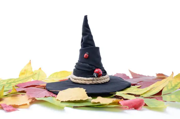 Magic witch hat among autumn leaves on a white background
