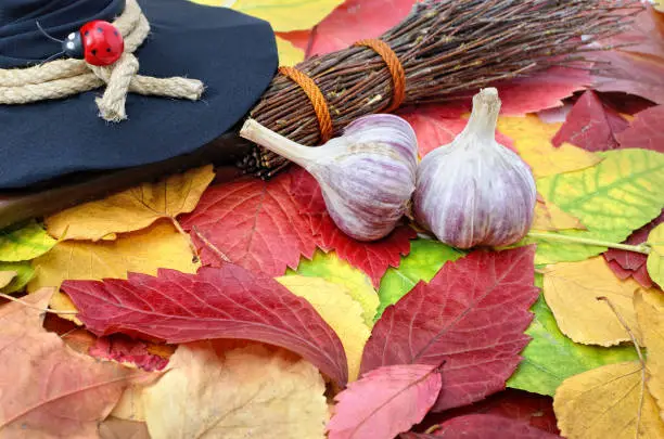 Garlic against the evil spirit on the autumn leaves