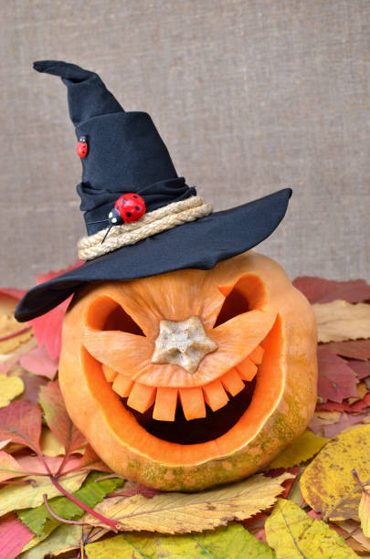 istock Jack's head of a lantern carved from pumpkin for Halloween 862468792