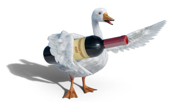 St. Martins goose holds wine bottle isolated on white - 3D render St. Martins goose with wine bottle isolated on white - 3D render st. martins stock pictures, royalty-free photos & images