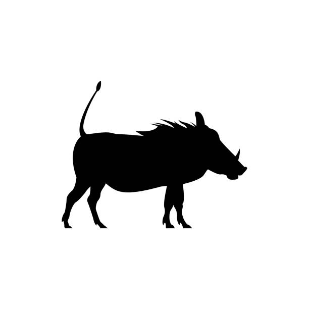 Vector warthog silhouette view side for retro icons, emblems, badges, labels template vintage design element. Isolated on white background Vector warthog silhouette view side for retro icons, emblems, badges, labels template vintage design element. Isolated on white background warthog stock illustrations