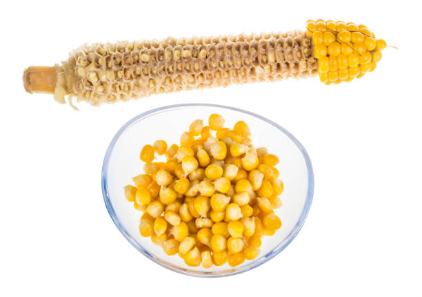 Yellow boiled corn and empty cob isolated on white background Partly eaten corncob and pile of maize grains in glass bowl corn cob eaten stock pictures, royalty-free photos & images