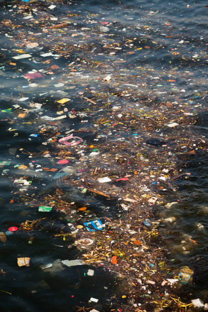 zanieczyszczenie wody - garbage dump vertical outdoors nobody zdjęcia i obrazy z banku zdjęć