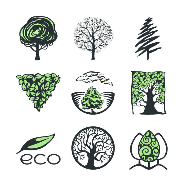 ilustrações de stock, clip art, desenhos animados e ícones de tree logo collection - grove