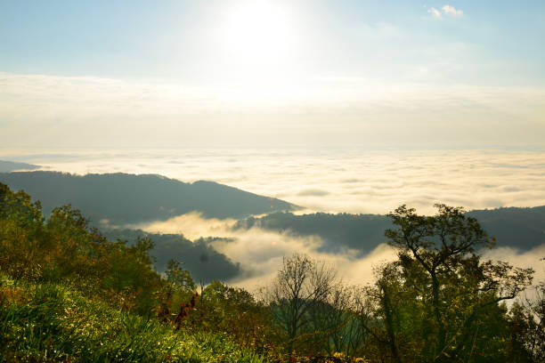 istock Beautiful fall foggy mountain scenery. 862480850
