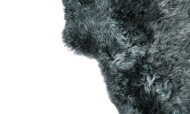 istock Grey sheepskin rug Sheep fur  background texture 862484654