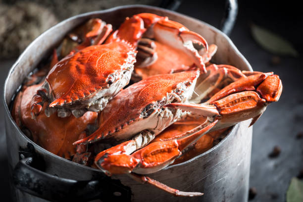préparation de crabe maison avec piment de la jamaïque et la feuille de laurier - lobster prepared shellfish meal seafood photos et images de collection
