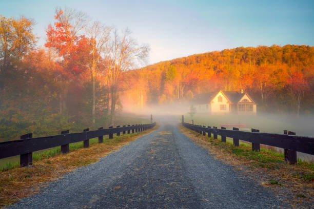 A fence lined lane leads into the fog with colorful foliage and blue skies in the background.