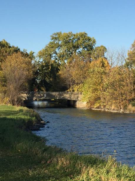 istock River and bridge in the park 862506908