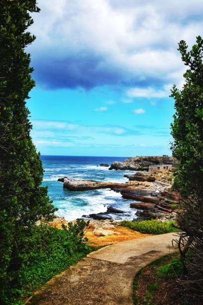 Hermanus is the best land based place to spot the migrating southern right wales during winter and springtime. The cliff path is a 11 km long walk along the rugged coastline.
