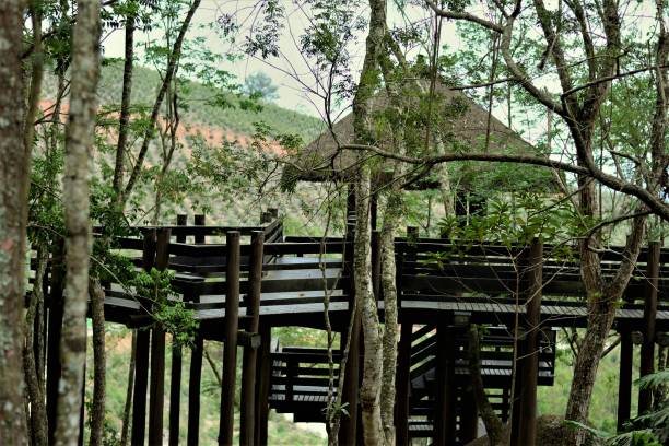 istock Casa quioske among the trees 862511542