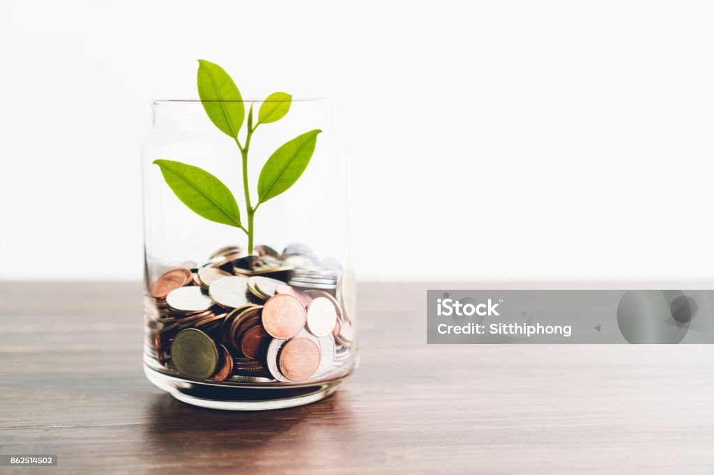 Coins in a bottle and the green tree, Represents the financial growth. The more money you save, the more you will get. Credit Union Stock Photo