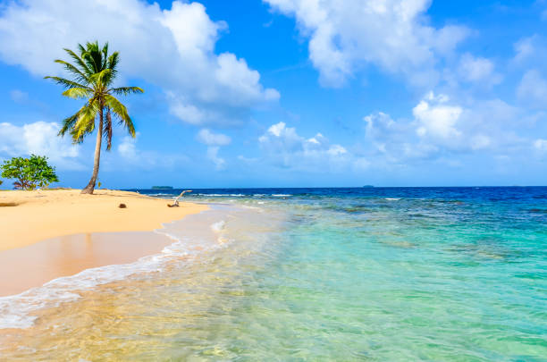 beautiful lonely beach in caribbean san blas island, kuna yala, panama. turquoise tropical sea, paradise travel destination - panama san blas islands central america island imagens e fotografias de stock