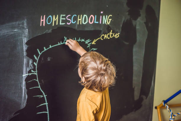 istock Homeschooling. The boy is drawing under word Homeschooling on a blackboard 862522582