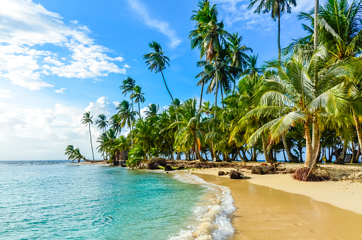 Playa solitaria en la isla caribeña de San Blas, Kuna Yala, Panamá. Turquesa mar tropical, destino paraíso photo
