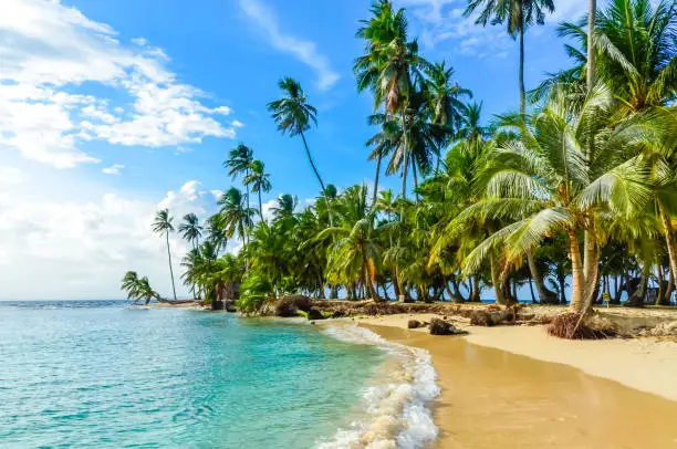 Beautiful lonely beach in caribbean San Blas island, Kuna Yala, Panama. Turquoise tropical Sea, paradise travel destination, Central America