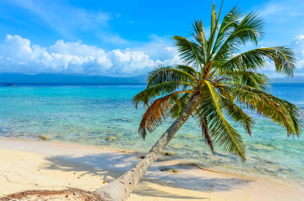 beautiful lonely beach in caribbean san blas island, kuna yala, panama. turquoise tropical sea, paradise travel destination - panama san blas islands central america island imagens e fotografias de stock