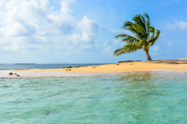 beautiful lonely beach in caribbean san blas island, kuna yala, panama. turquoise tropical sea, paradise travel destination - panama san blas islands central america island imagens e fotografias de stock