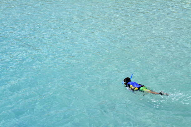 Japanese boy swimming with snorkel (second grade at elementary school)