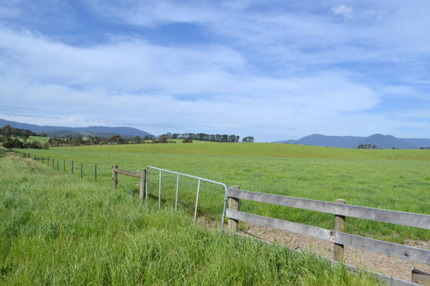 la vista del paisaje de tarrawara, australia - cowboy blue meadow horizontal fotografías e imágenes de stock