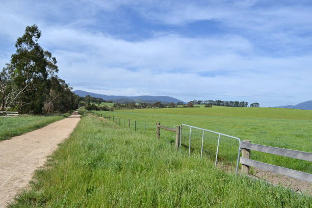 die landschaftsansicht tarrawara, australien - cowboy blue meadow horizontal stock-fotos und bilder