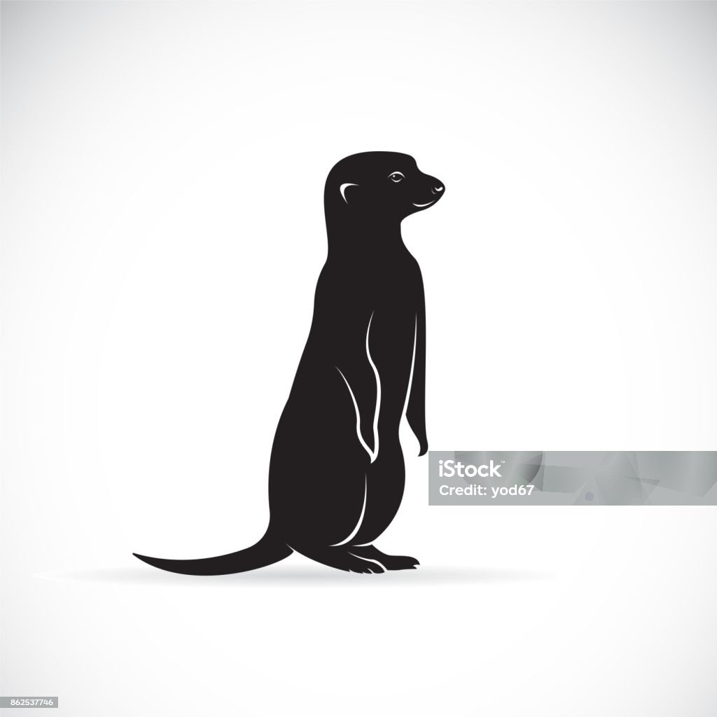 Vector of meerkats design on white background. Wild Animals. Meerkat stock vector