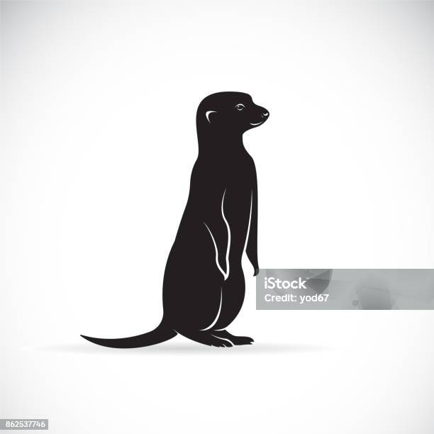 Vector Of Meerkats Design On White Background Wild Animals Stock Illustration - Download Image Now