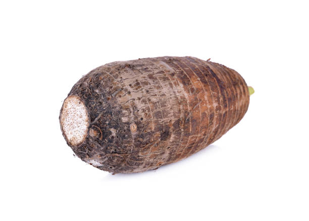 istock unpeeled raw taro on white background 862538830