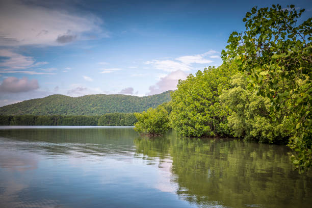 istock Kung Krabaen Bay Royal Development Study Center in Chanthaburi,Thailand. 862541768