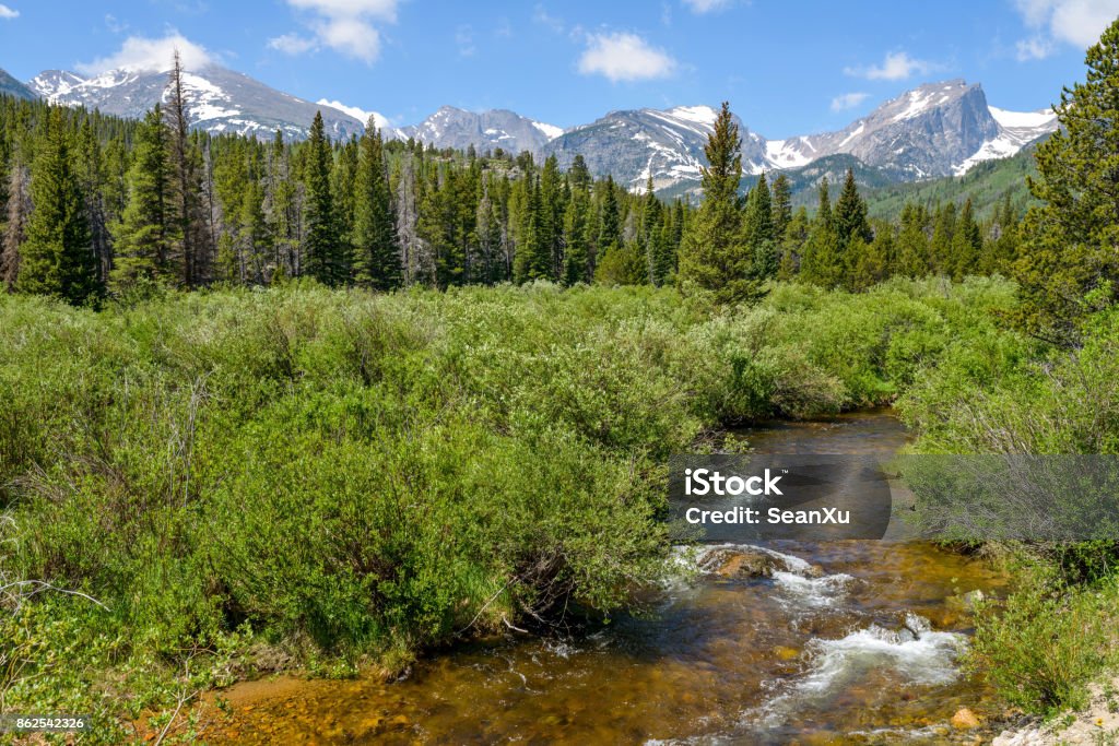 Una vista estiva di Glacier Creek che attraversa una fitta foresta sempreverde alla base dell'alta catena montuosa innevata nel Rocky Mountain National Park, Estes Park, Colorado, USA. - Foto stock royalty-free di Estes Park