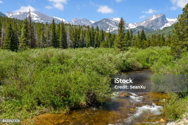 Una Vista Estiva Di Glacier Creek Che Attraversa Una Fitta Foresta Sempreverde Alla Base Dellalta Catena Montuosa Innevata Nel Rocky Mountain National Park Estes Park Colorado Usa - Fotografie stock e altre immagini di Estes Park