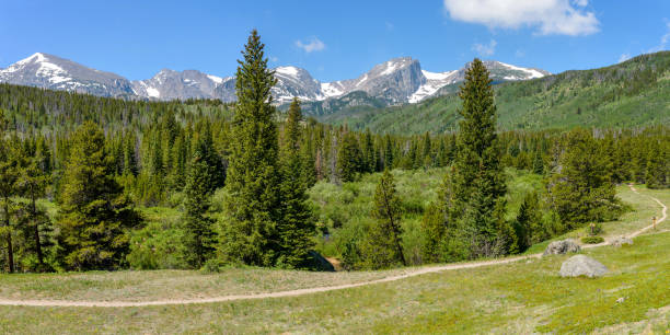 istock A panoramic summer view of a hiking path winding through dense evergreen forest towards snow-capped high mountain range in Rocky Mountain National Park, Estes Park, Colorado, USA. 862542348