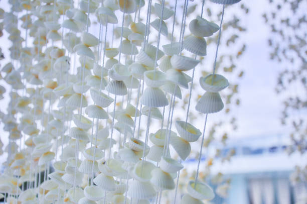 White Curtain. Hanging blinds are made from a variety of sea shells and  decoration, home interior decoration by seashell curtain. Close up.