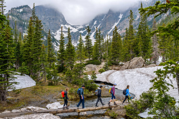Spring Mountain Hike Estes Park, Colorado, USA - June 24, 2017: On a foggy spring day, a group of hikers walking cross a tree trunk bridge over Tyndall Creek on Emerald Lake Trail at base of Hallett Peak and Flattop Mountain in Rocky Mountain National Park. hallett peak stock pictures, royalty-free photos & images