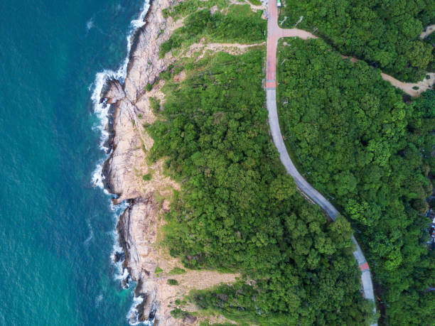 vista aérea de la parte superior de la carretera a través de la selva en la montaña en la isla tropical con el lado del océano. el paisaje escénico de la antena de la naturaleza en una colina verde con un camino a través de la madera. - new zealand fotos fotografías e imágenes de stock