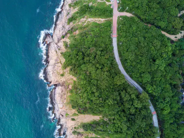 Photo of Aerial Top View of the road through Green forest on the mountain on Tropical Island with ocean side. The scenic aerial landscape of nature on a green hill with a road through the wood.