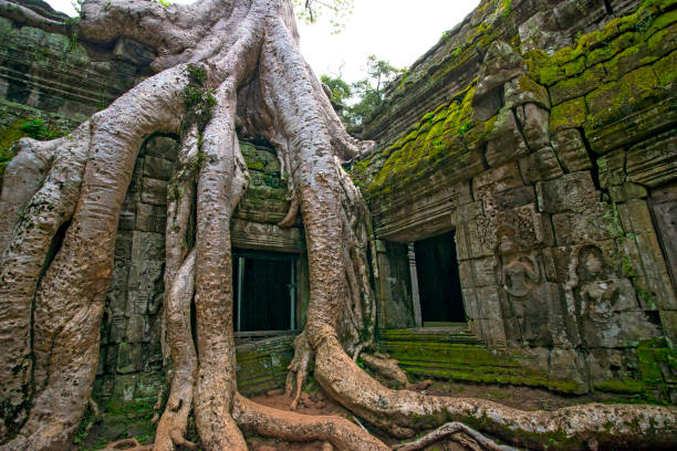 istock Ta Prohm temple cambodia, a massive tree squashing the building under its weight. 862581228