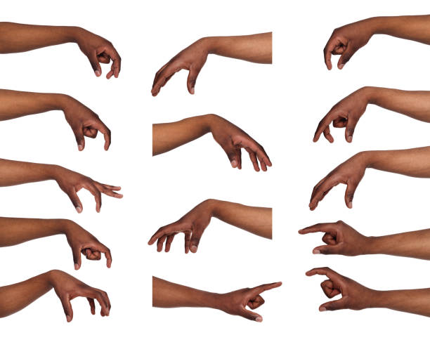 Set of black man's hands. Male hand picking up something Taking, measuring. Set of black male hands grab some items. Isolated at white background palm of hand photos stock pictures, royalty-free photos & images