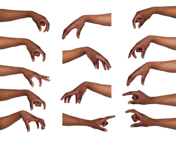 Set of black man's hands. Male hand picking up something Taking, measuring. Set of black male hands grab some items. Isolated at white background arm stock pictures, royalty-free photos & images