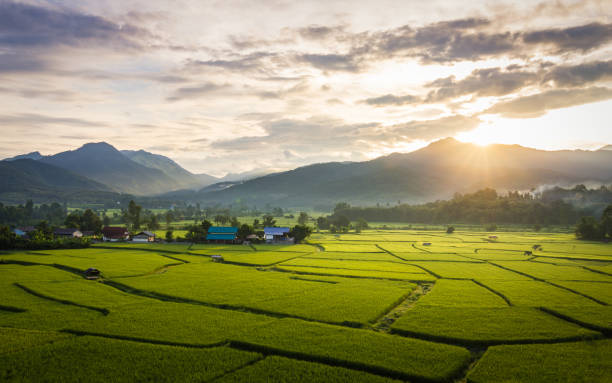istock Beautiful sunrise in the morning. 862596798